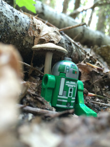 Green R2