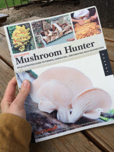 Choosing a Mushroom Field Guide - Yellow Elanor