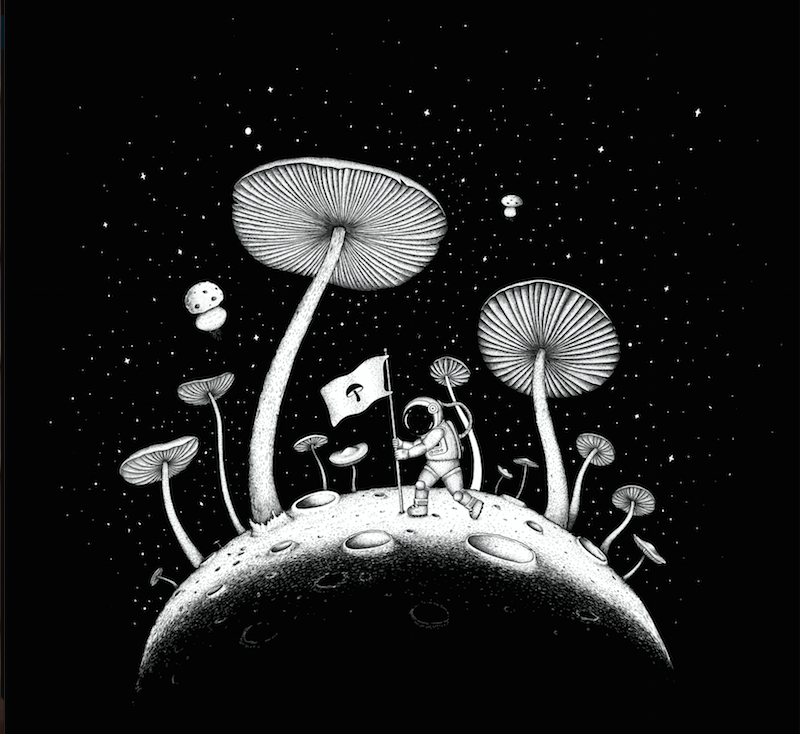 Mushrooms and the Moon Landing: 1969